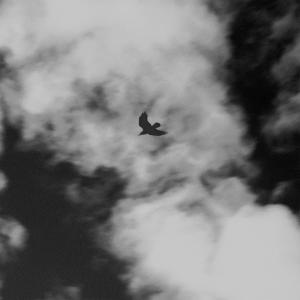 收聽LONGLIVEAPOLLO的CHIPS FREEVERSE (Explicit)歌詞歌曲