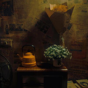 default playlist img