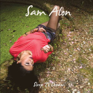 Dengarkan Hard to Say Goodbye lagu dari Sam Alon dengan lirik