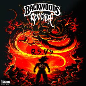 ดาวน์โหลดและฟังเพลง STEPIN / STEPØUT (feat. Exitt6ixx & LPTHEDON|Explicit) พร้อมเนื้อเพลงจาก Backwoods Revenge