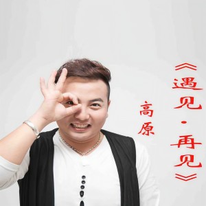 Album 遇见再见 from 高原