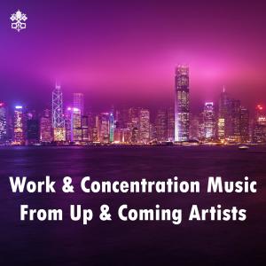 Various Artists的專輯Work & Concentration Music From Up & Coming Artists