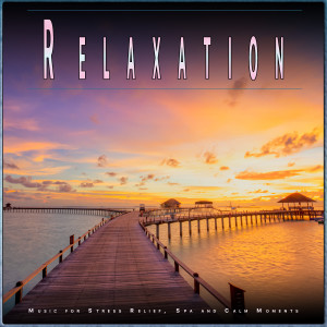 Calm Piano Music的專輯Relaxation: Music for Stress Relief, Spa and Calm Moments