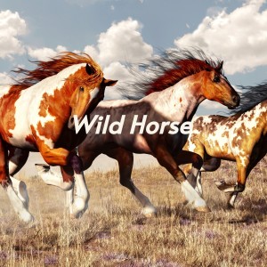 Listen to Wild Horse song with lyrics from Clark Kessinger