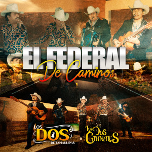 收听LOS DOS DE TAMAULIPAS的El Federal de Caminos歌词歌曲