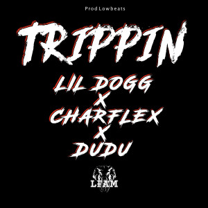收聽LFAM的Trippin' (Explicit)歌詞歌曲