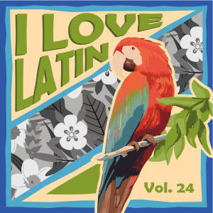 Listen to Gota de Lluvia song with lyrics from André y su Conjunto