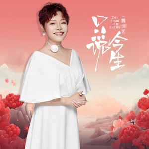 Album 只说今生（DJ京仔版） oleh 魏佳艺