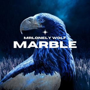 MrLonely Wolf的專輯Marble