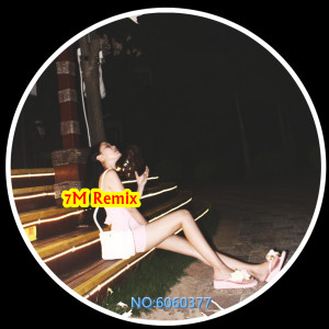 Listen to 依然越南鼓 (DJ版) song with lyrics from 7妹