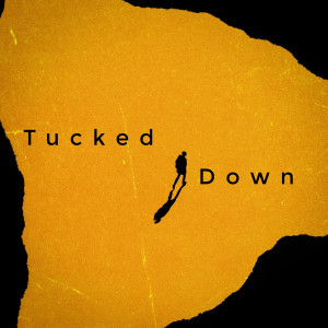Desimornd的专辑Tucked Down