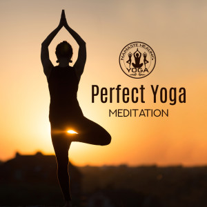 收聽Namaste Healing Yoga的Full Lotus歌詞歌曲