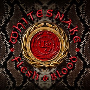 ดาวน์โหลดและฟังเพลง When I Think of You(Color Me Blue) พร้อมเนื้อเพลงจาก Whitesnake