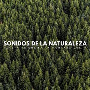 Música de relajación profunda的专辑Sonidos De La Naturaleza: Puesta De Sol En La Montaña Vol. 1