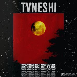 Dengarkan lagu tumasunfollowmaisjetaimeetcestchiant (Explicit) nyanyian TVNESHI dengan lirik