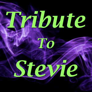 Album Tribute to Stevie oleh Wildlife