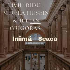 Album Inimă seacă (Explicit) oleh Liviu Didu