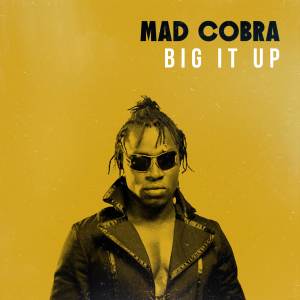 Mad Cobra的專輯Big It Up