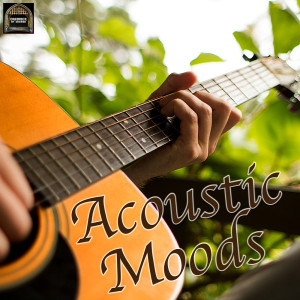 Acoustic Moods Ensemble的專輯Acoustic Moods