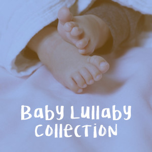 Baby Lullaby Collection