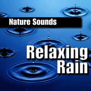 收聽Nature Sounds的Tranquil Forest Rain歌詞歌曲