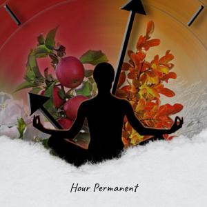Various的专辑Hour Permanent