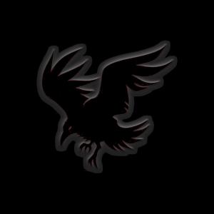收听Reli Beats的Ravens歌词歌曲