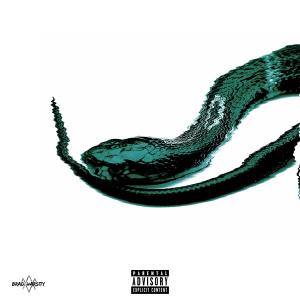 ดาวน์โหลดและฟังเพลง SNAKEBIT (Explicit) พร้อมเนื้อเพลงจาก Brad Varsity