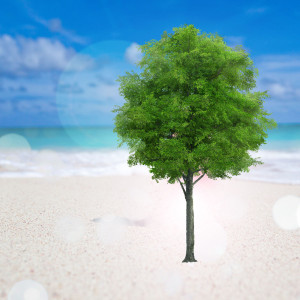 收听The Piano Piece的Brainwave Massage Meditation歌词歌曲