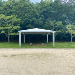 Album A Feeling of Weakness oleh Gallery Six