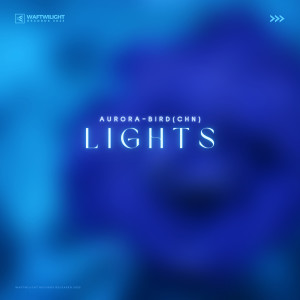 Listen to Lights song with lyrics from Alan-Dash