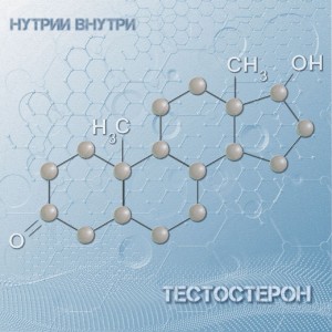 Listen to Тестостерон song with lyrics from НУТРИИ ВНУТРИ