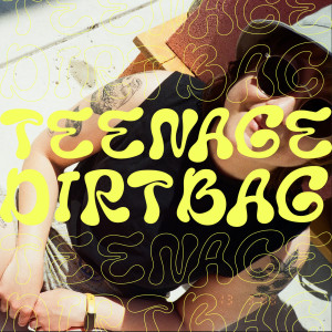 Well Wisher的專輯Teenage Dirtbag