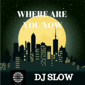Listen to Where are you know song with lyrics from Dj Slow
