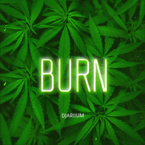 收聽DJariium的BURN歌詞歌曲