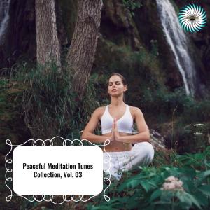 Various的专辑Peaceful Meditation Tunes Collection, Vol. 03