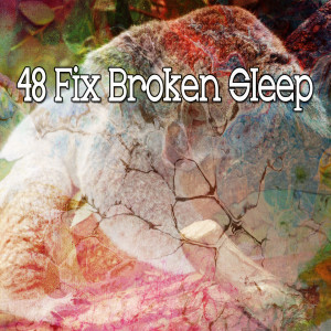 收聽Ocean Waves for Sleep的Enriching Rest歌詞歌曲