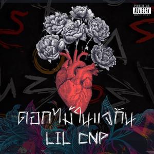 收聽Lil CNP的ดอกไม้ในแจกัน (Explicit)歌詞歌曲