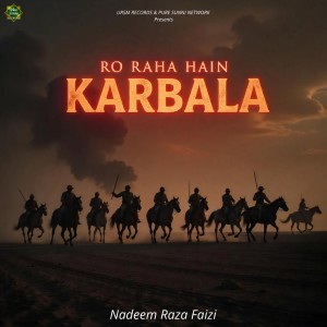 Nadeem Raza Faizi的專輯Ro Raha Hain Karbala