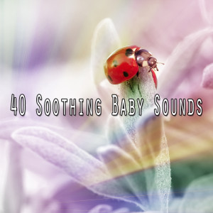 Listen to Restore Me song with lyrics from All Night Sleeping Songs to Help You Relax