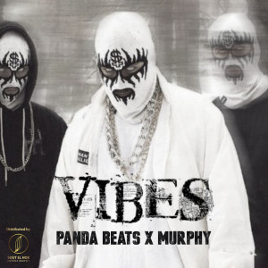 Album Vibes from Panda Beats