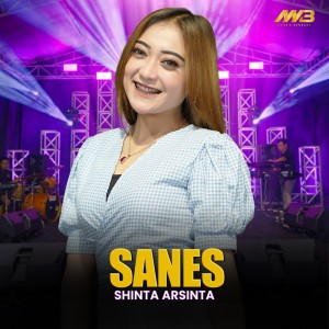 Dengarkan Sanes lagu dari Shinta Arsinta dengan lirik