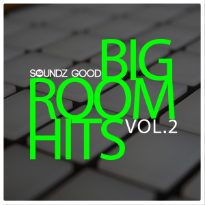 Album Soundz Good Big Room Hits Vol.2 oleh Various Artists