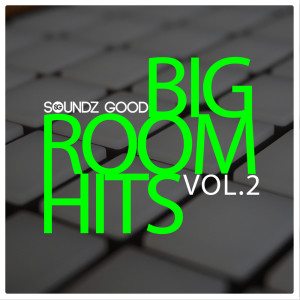 อัลบัม Soundz Good Big Room Hits Vol.2 ศิลปิน Various Artists