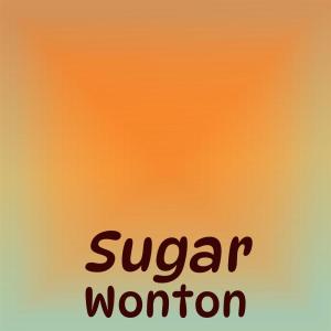 Various Artists的专辑Sugar Wonton