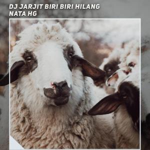 Album Dj Jarjit Biri Biri Hilang oleh Nata HG