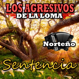 ดาวน์โหลดและฟังเพลง Sin Ti พร้อมเนื้อเพลงจาก Los Agresivos de la Loma