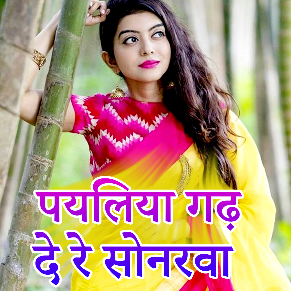 Payaliya Gadh De Re Sonarava