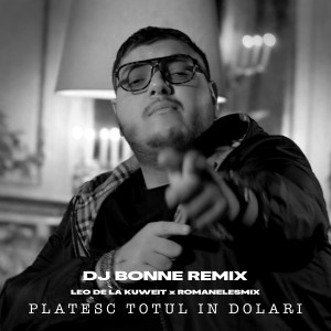 Album Platesc totul in dolari (Dj Bonne Remix) from 