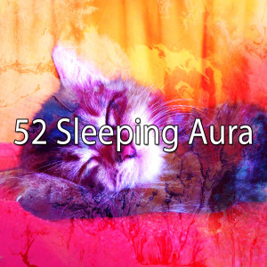 52 Sleeping Aura dari SPA